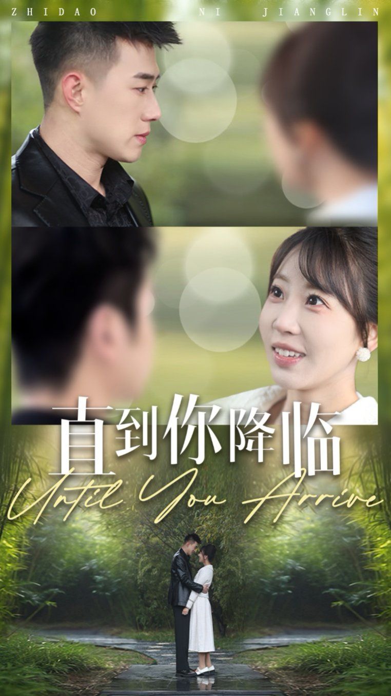直到你降临第21-40集