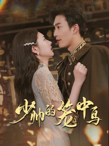 少帅的笼中鸟第41-60集