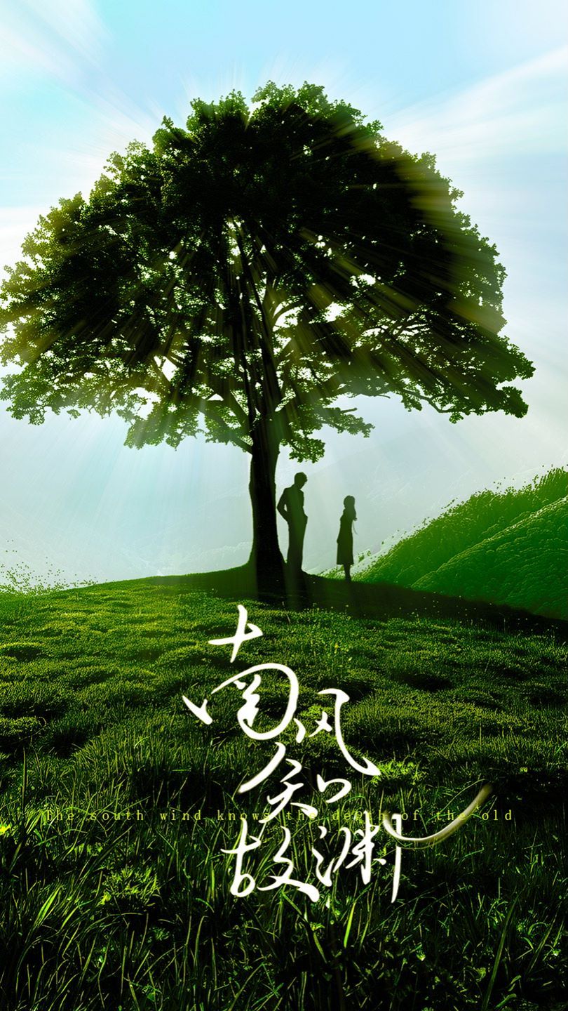 南风知故渊第1-20集