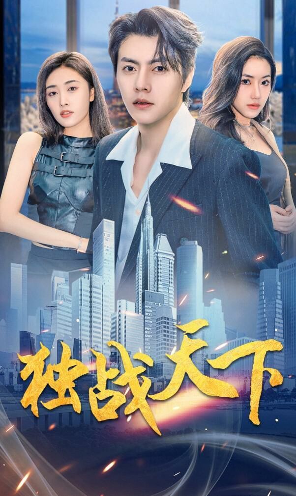 独战天下第21-40集