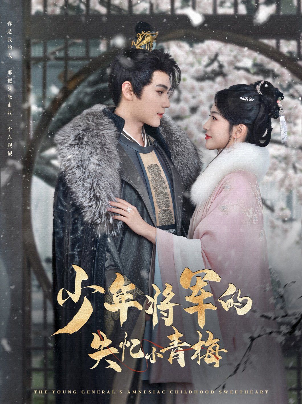 少年将军的失忆小青梅第21-40集