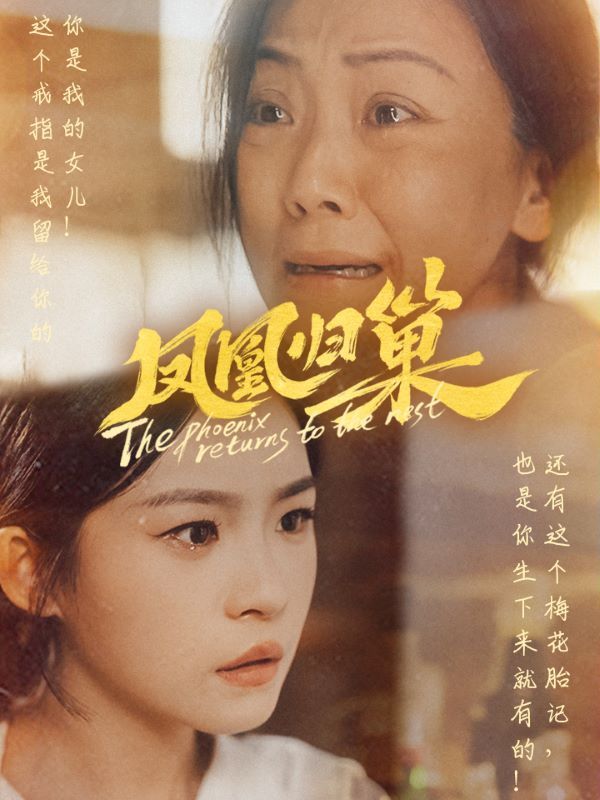 凤凰归巢第21-40集