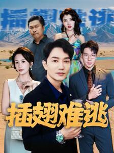 插翅难逃第21-43集完结(大结局)