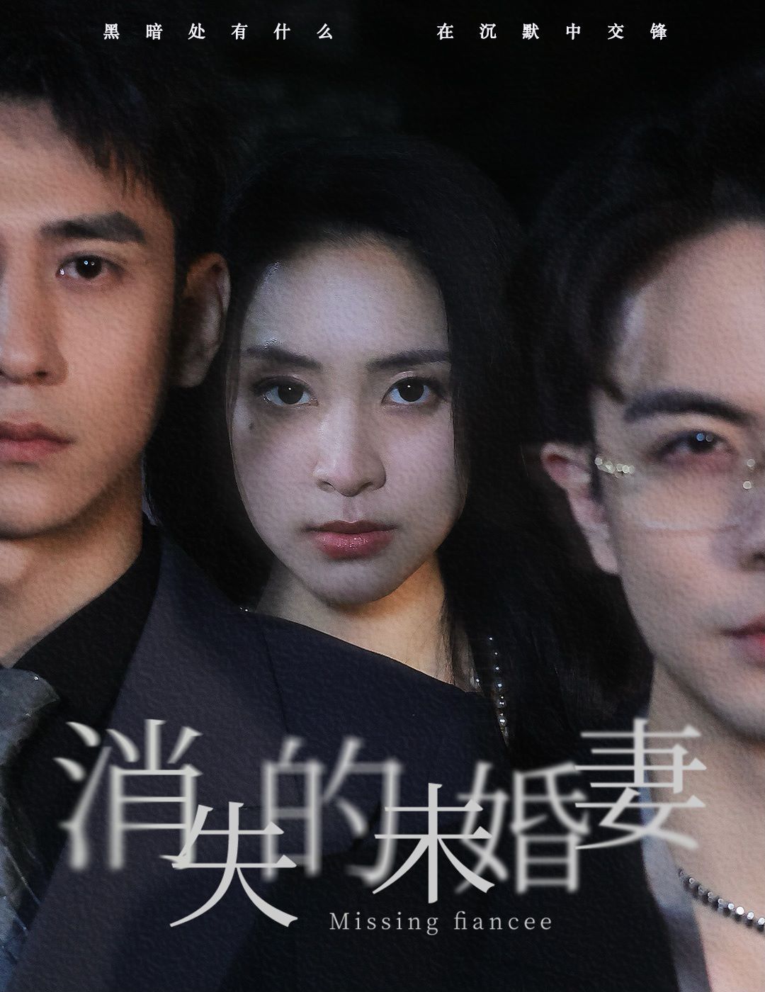 消失的未婚妻第1-20集