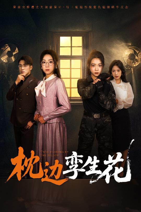 枕边孪生花第1-30集