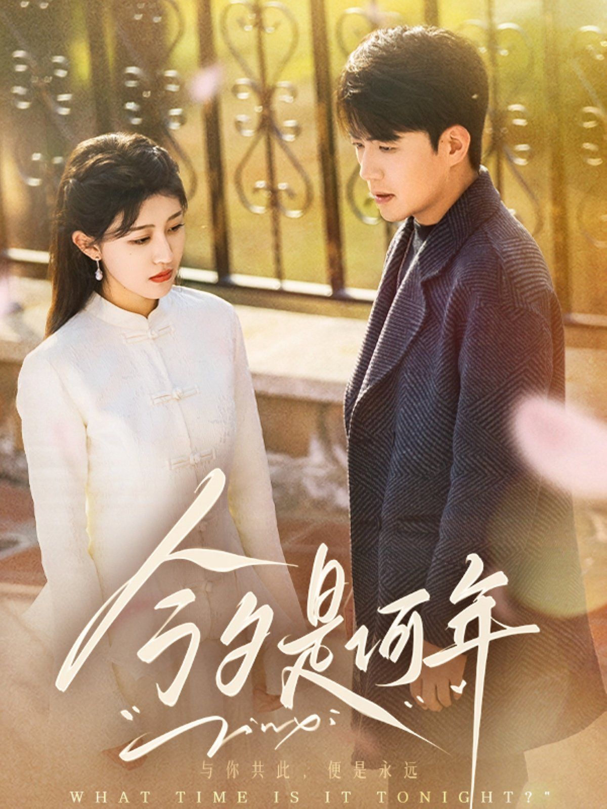 今夕是何年第1-20集