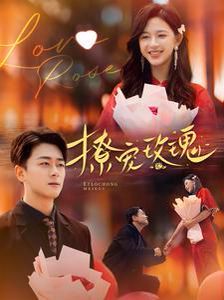 撩宠玫瑰第21-40集