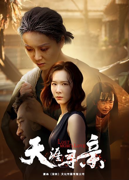 天涯寻亲第21-40集