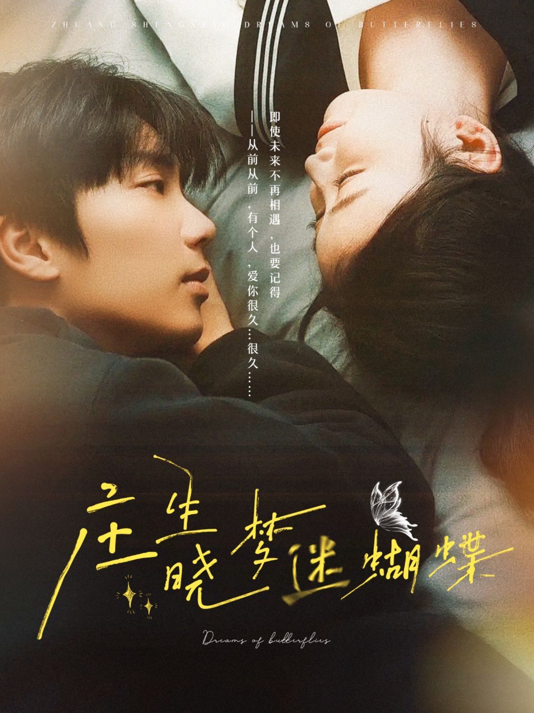 庄生晓梦迷蝴蝶第21-40集