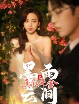 墨雨云间之真假千金第21-40集