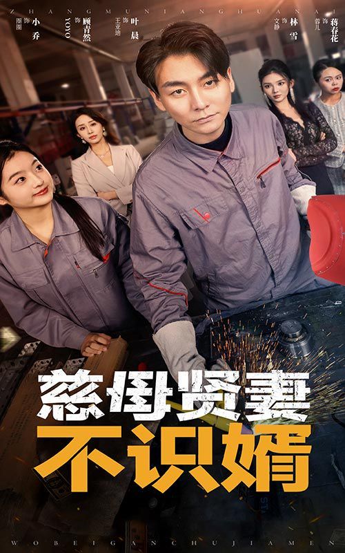 慈母贤妻不识婿第21-45集完结(大结局)