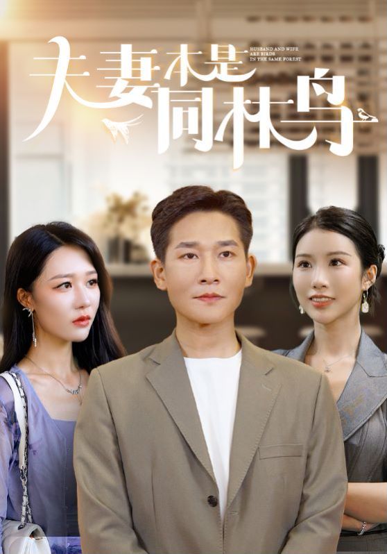 夫妻本是同林鸟第21-40集